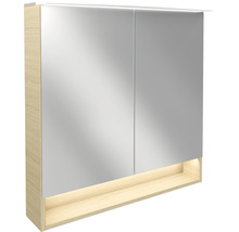 Spiegelschrank mit Beleuchtung und Ablagefach