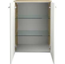 Offener Badezimmerschrank mit zwei Glasablagen