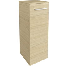 Hochschrank mit einer Tür und einem Metallgriff