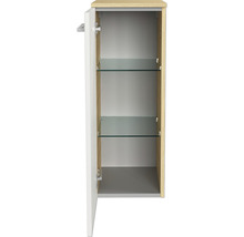 Geöffneter Hängeschrank mit zwei Glasablagen für das Badezimmer