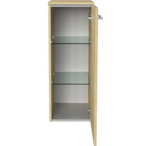 Offener Badezimmerschrank mit zwei Glasböden