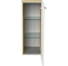 Offener Bad-Hängeschrank mit zwei Glasböden