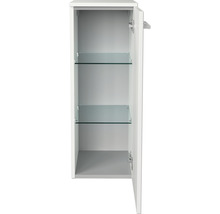 Offener Badezimmerschrank mit zwei Glasablagen