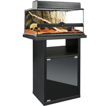 Terrarium mit Schädel und Pflanzen auf schwarzem Unterschrank