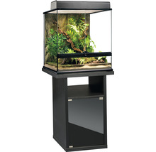 Terrarium mit Pflanzen und Dekoration auf einem Unterschrank
