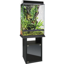 Terrarium mit Pflanzen auf einem schwarzen Unterschrank