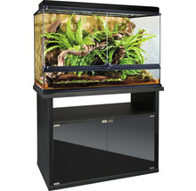 Terrarium mit Unterschrank, ausgestattet mit Pflanzen und Dekoration