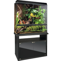 Terrarium mit Schrank, eingerichtet mit Pflanzen, Ästen und Moos