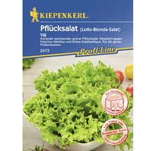 Kiepenkerl Logo. Samentütchen Pflücksalat, geeignet für Hochbeet und Kübel, resistente Sorte