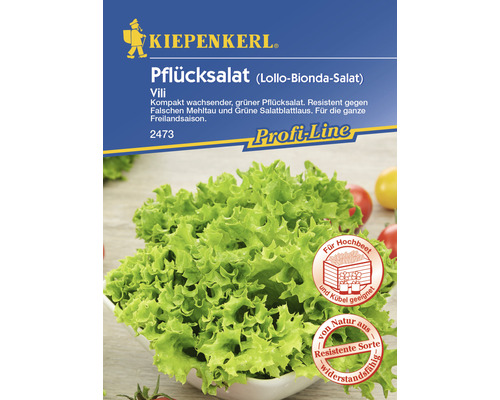 Gemüsesamen Kiepenkerl Schnittsalat/Pflücksalat 'Vili'