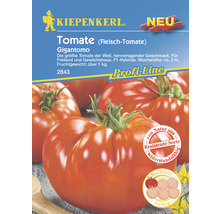 Kiepenkerl Gigantomo Tomatensamen für Freiland und Gewächshaus