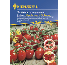 Gemüsesamen Kiepenkerl Cherry-Tomate 'Delicacy F1'-thumb-0