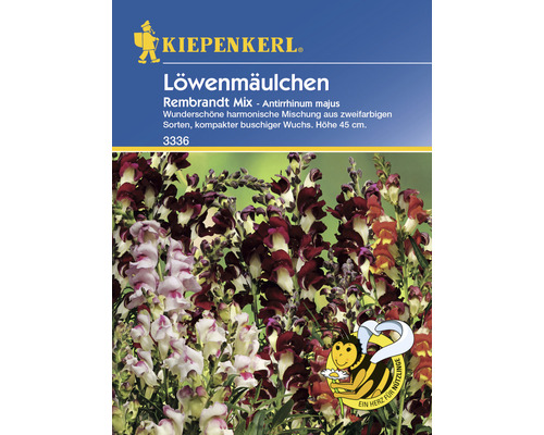 Blumensamen Kiepenkerl Löwenmäulchen 'Rembrandt'