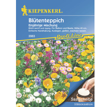 Kiepenkerl Blütenteppich Blumensamenpackung für einjährige Blumenmischung