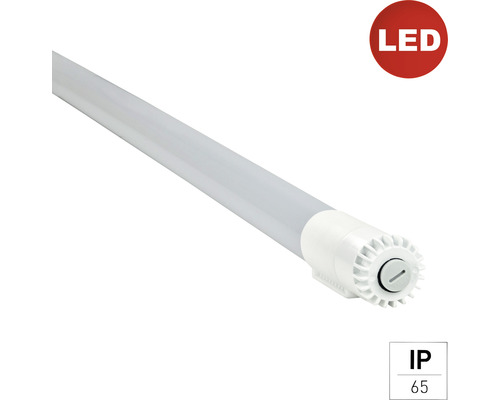LED Feuchtraum-Lichtleiste 38 W 4600 lm 4000 K kaltweiß, L 148,5 cm IP65 weiß