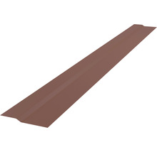 Ortgangblech aus Metall