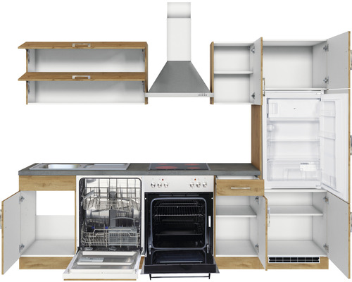 Komplette Küchenzeile mit Spüle, Geschirrspüler, Herd, Dunstabzugshaube und Kühlschrank