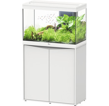 Aquariumkombination aquatlantis Splendid 145 inkl. LED-Beleuchtung, Filter, Unterschrank weiß