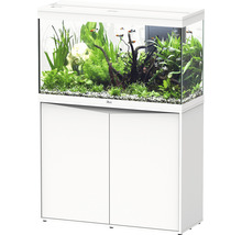 Aquariumkombination aquatlantis Splendid 200 inkl. LED-Beleuchtung, Filter, Unterschrank weiß