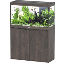 Aquariumkombination mit Unterschrank, bepflanzt und mit Fischen