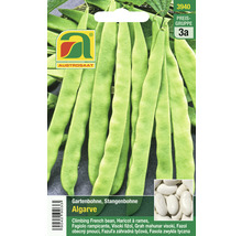 Samenpackung Gartenbohne Algarve