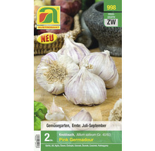 Austro-Saat Knoblauch Pink Germadour, zwei Stück, zur Aussaat im Gemüsegarten