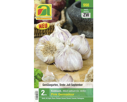 Knoblauch Austrosaat 'Pink Germadour'