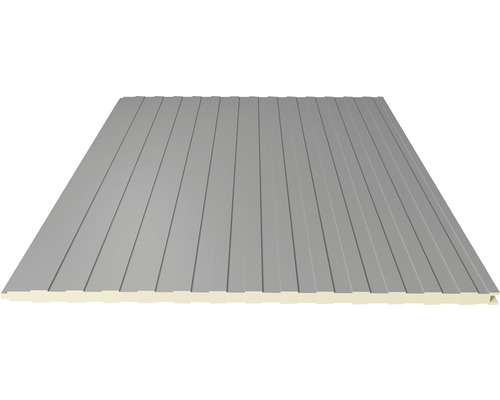 Sandwichpaneel 3000 x 1000 x 40 mm RAL 9006 Sandwichpaneel 3000 x 1000 x 40 mm RAL 9006