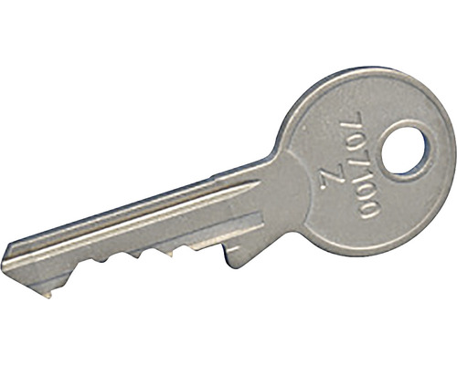Z-Schlüssel für Netz NÖ EVN, Nr. 707100, edelstahl