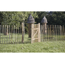 Gartenszene mit offenem Holzzaun und Bienenkörben im Hintergrund