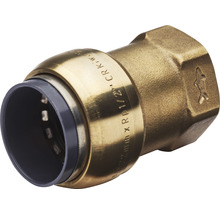 Steckfitting SharkBite Übergangsmuffe 22 mm x 1/2”​ IG SBE112215F​