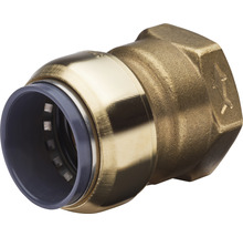 Steckfitting SharkBite Übergangsmuffe 28 mm x 1“​ IG SBE112825F​