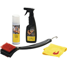 Grillreinigungsset mit Bürste, Spray und Tuch