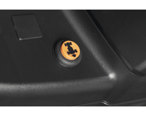 Symbol für die ferngesteuerte Fahrfunktion