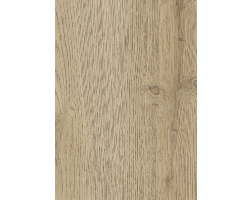 Holzdekorelement mit sichtbarer Maserung