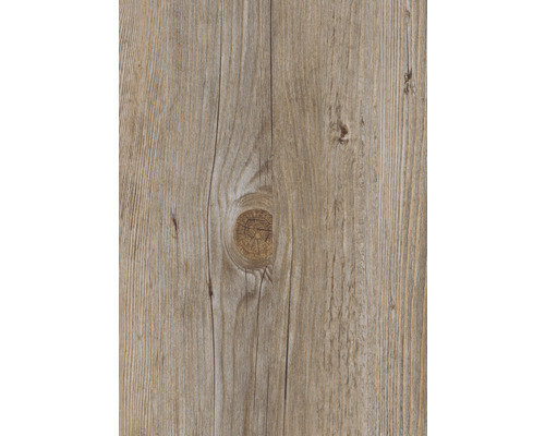 Nahaufnahme einer Holzoberfläche mit Astloch