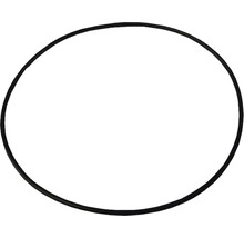 O-Ring Dichtung