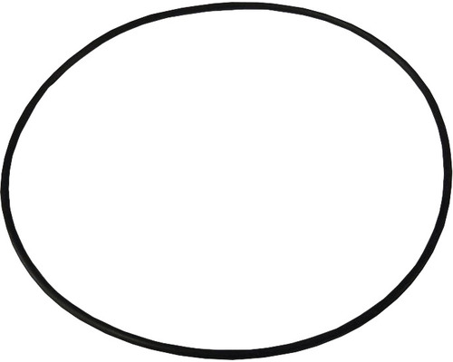 O-Ring Dichtung