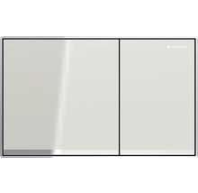 Geberit Betätigungsplatte für WC Spülkasten mit zwei Tasten und Geberit Logo