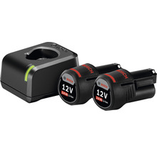 Bosch Akku Ladegerät mit zwei 12 Volt Akkus