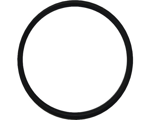 O-ring für UVC-Einheit