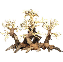Aquariendekoration aus Moorkienholz mit Baumdesign