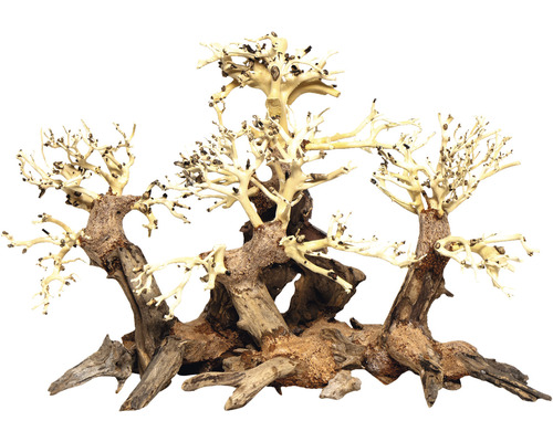Aquariendekoration aus Moorkienholz mit Baumdesign