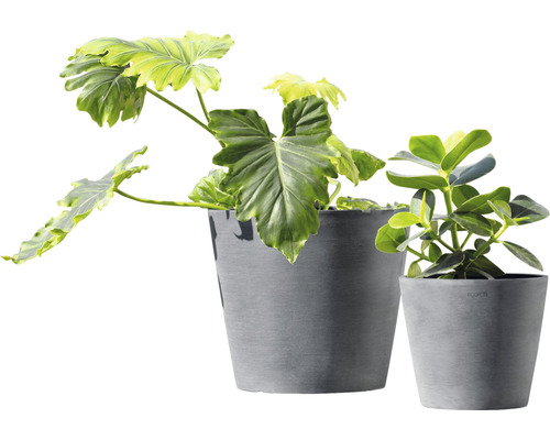 Zwei graue Blumentöpfe mit Zimmerpflanzen