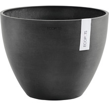 Ecopots Pflanzgefäß mit Etikett
