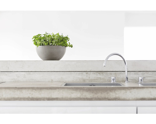 Küche mit Spüle, Armatur und Kräutertopf