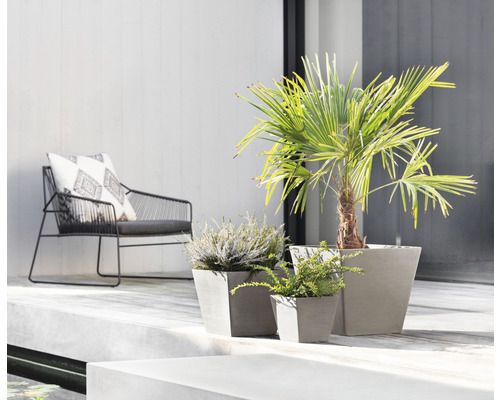 Außenbereich mit Sessel und drei bepflanzten, quadratischen Pflanzgefäßen aus Beton