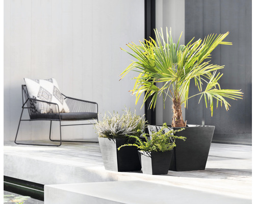 Terrassenszene mit Sesseln und Pflanzen in Töpfen