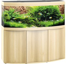 Aquarium mit Unterschrank und Wasserpflanzen