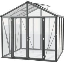 Gewächshaus mit Doppeltür und Dachfenster